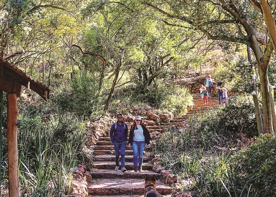 Romantic city Where to take your date in Joburg